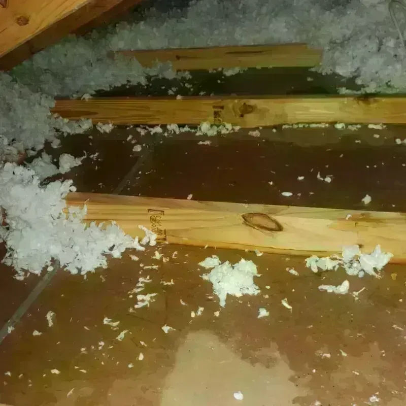 Attic Water Damage in Columbus, NC