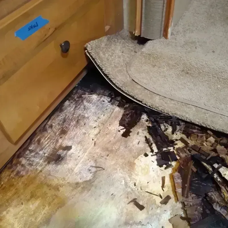 Wood Floor Water Damage in Columbus, NC